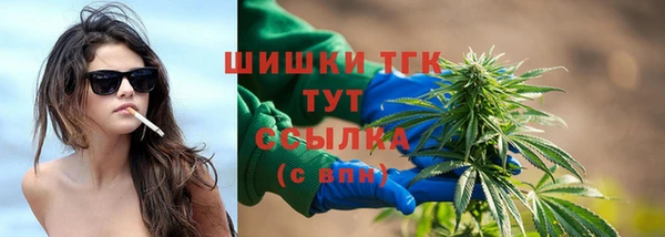 СК Богородицк