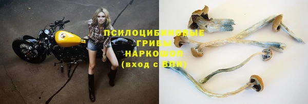 ПСИЛОЦИБИНОВЫЕ ГРИБЫ Богородск