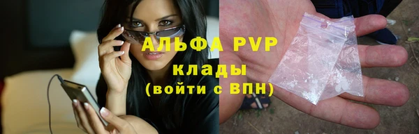СК Богородицк