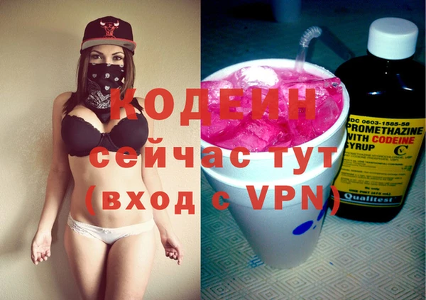 СК Богородицк