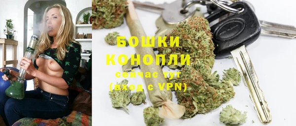 ПСИЛОЦИБИНОВЫЕ ГРИБЫ Богородск